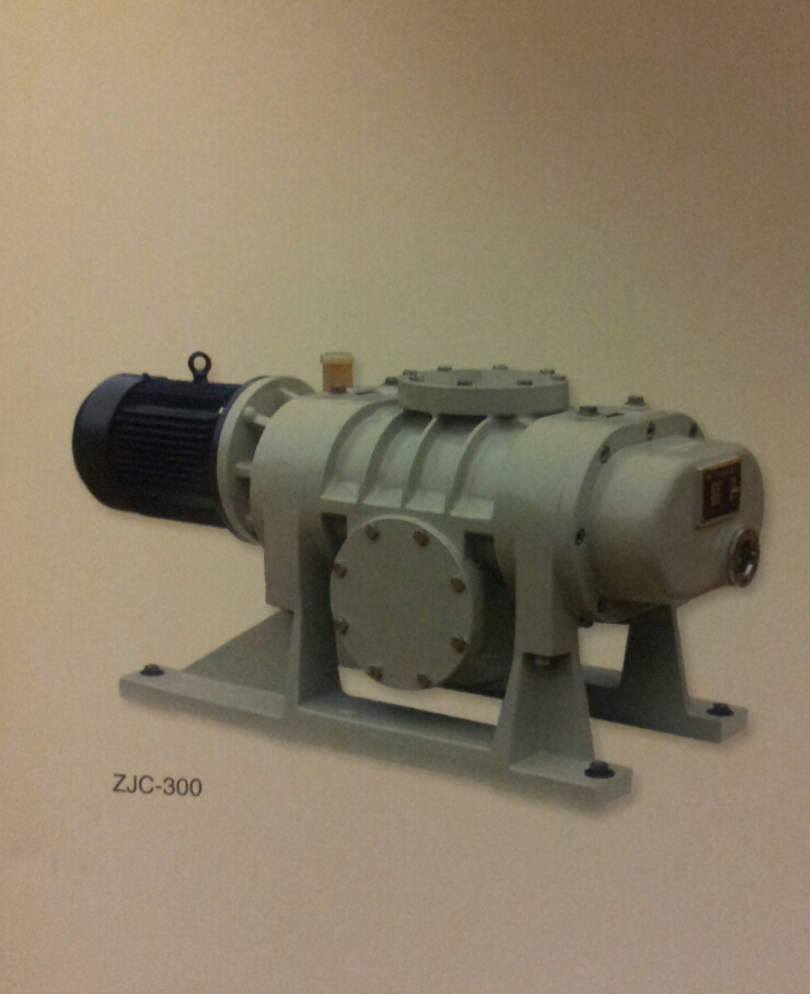 罗茨泵：ZJP系列